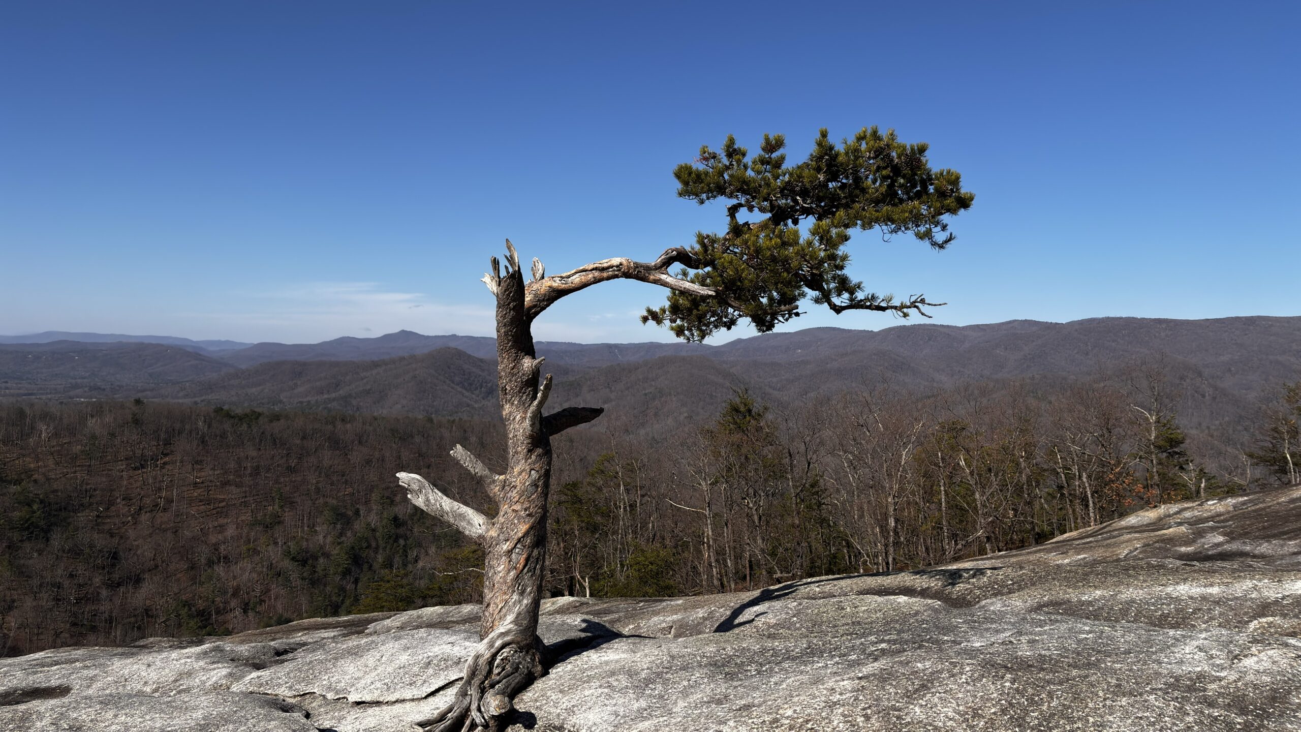 Stone Mountain, North Carolina