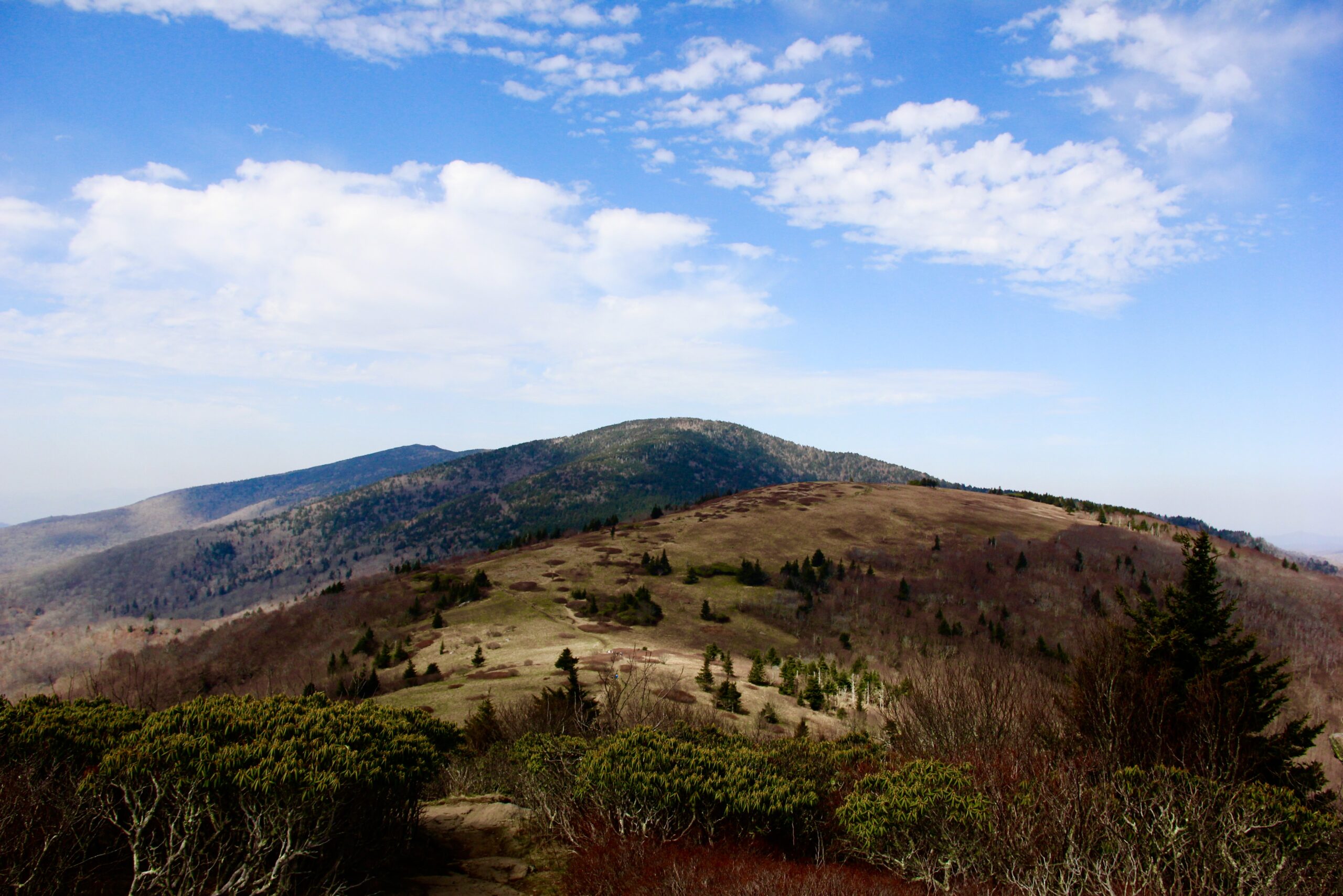 Grassy Bald Ridge, NC